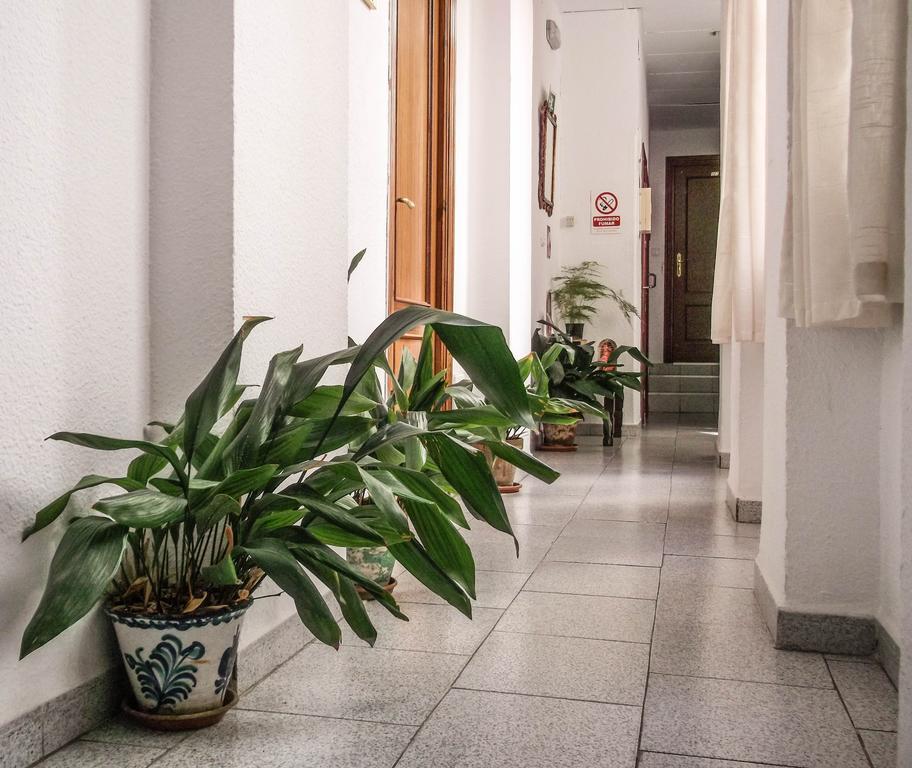Pension Ciudad Navarro Ramos Гранада Екстер'єр фото